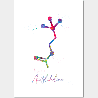 Acetylcholine molecule Posters and Art